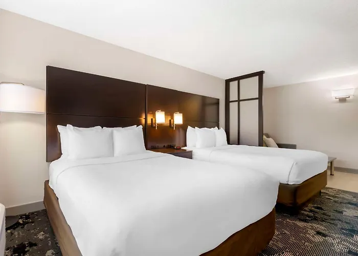 Comfort Inn & Suites Near Universal Orlando Resort-Convention Ctr